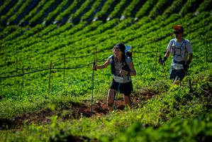 BIB: 
                            <button type="button" onclick="openModal(19160748)" class="btn btn-primary btn-sm float-right btn-popup" data-toggle="modal" data-target=".modal-high-quality">
                        <i class="fas fa-shopping-cart"></i> Add to Cart
                    </button>
                                            <button type="button" onclick="isThisMe(19160748, true)" class="btn btn-success btn-sm float-right btn-popup btn-isme hidden" data-toggle="tooltip" data-placement="bottom" title="นี่คือรูปของคุณใช่ไหม คลิกที่นี่เพื่อเอาเข้าอัลบั้ม">
                        <i class="fas fa-plus"></i> Add to album
                    </button>
                    <button type="button" onclick="isThisMe(19160748, false)" class="btn btn-warning btn-sm float-right btn-popup btn-isnotme hidden">
                        <i class="fas fa-ban"></i> Remove from album
                    </button>